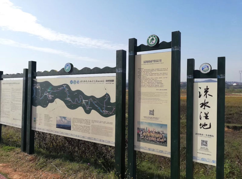 ���(y��ng)���^(q��)������